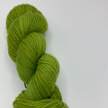 Load image into Gallery viewer, Navajo Churro/Jacob