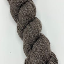 Load image into Gallery viewer, Border Leicester/CVM - DK Weight (James Bond)