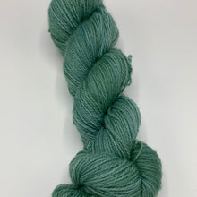 Load image into Gallery viewer, Navajo Churro/Jacob