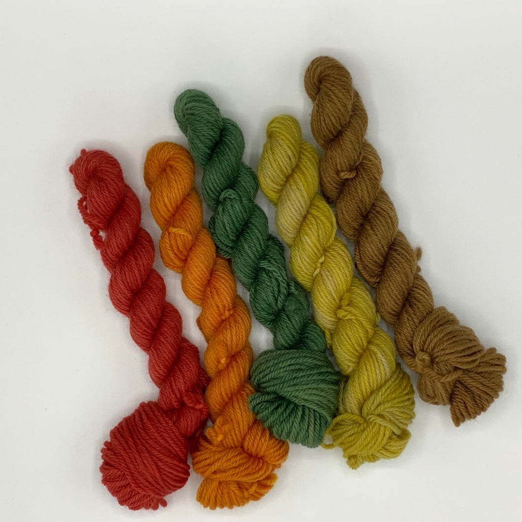 Fall Leaves - mini skein set - DK